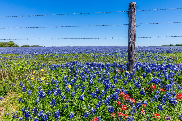 best insurance agents in dfw 768x512